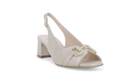 gid://shopify/Product/15685854855500_2
