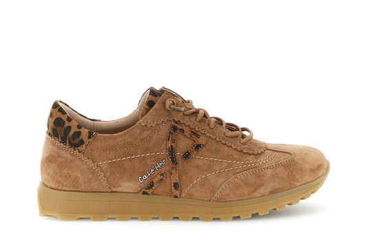 gid://shopify/Product/16176417472844_59123013812556