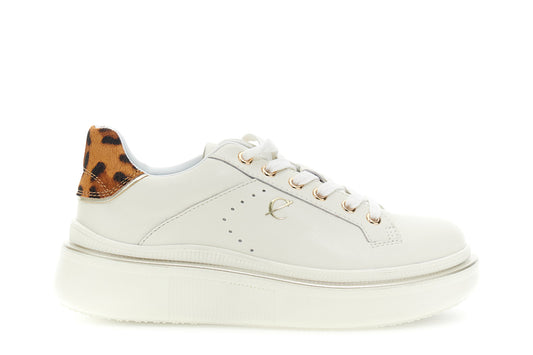 gid://shopify/Product/16175948562764_1