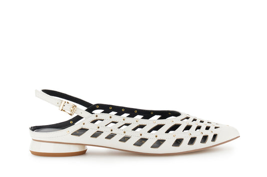 gid://shopify/Product/16122283163980_1