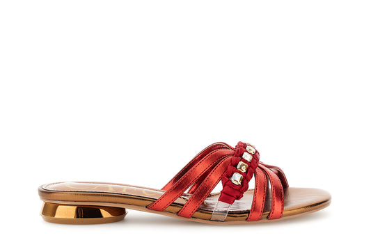 gid://shopify/Product/16122335527244_58876207530316
