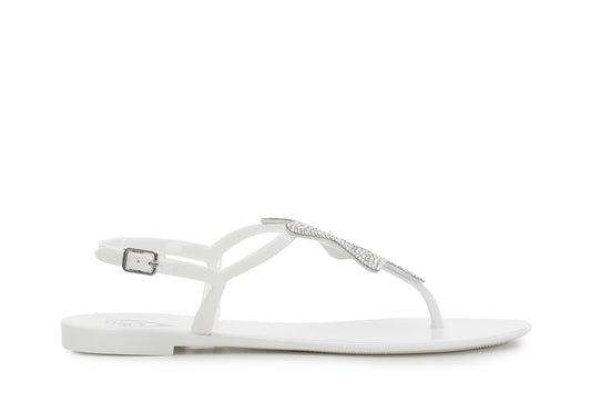 gid://shopify/Product/15782516064588_57658397917516
