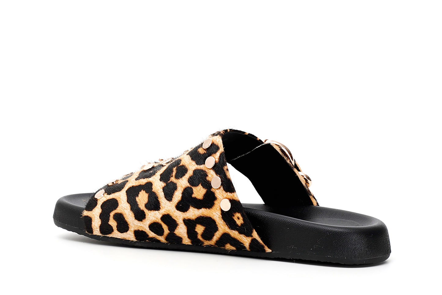 gid://shopify/Product/15782481461580_2