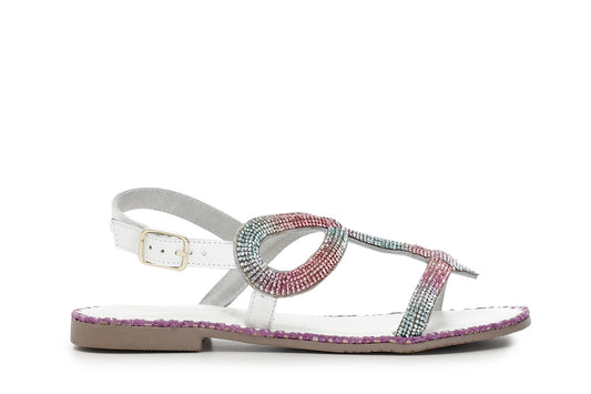 gid://shopify/Product/15782520389964_1