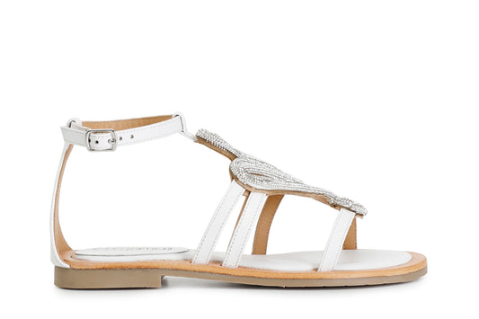 gid://shopify/Product/15782980616524_57661696606540