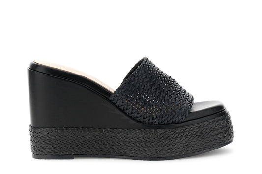 gid://shopify/Product/16122354041164_58876305342796