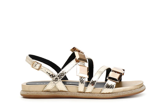 gid://shopify/Product/15782539690316_57658440286540