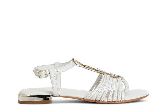 gid://shopify/Product/15783043301708_57661993877836