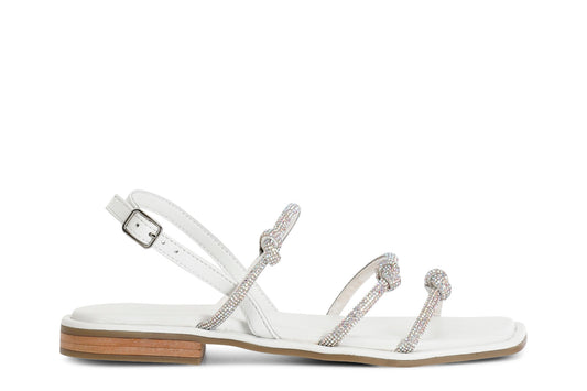 gid://shopify/Product/15783043694924_57661997416780