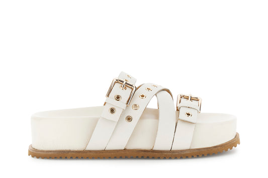 gid://shopify/Product/16122402898252_58876563390796
