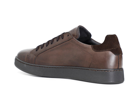 gid://shopify/Product/16035419128140_2