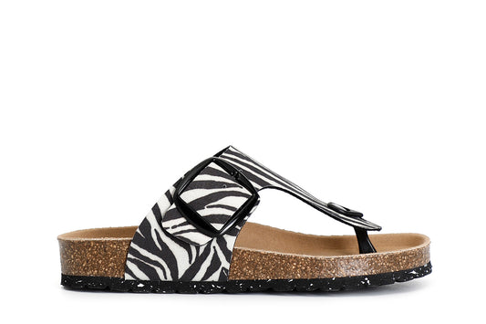 gid://shopify/Product/15783050838348_57662070882636