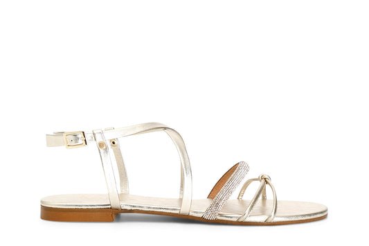 gid://shopify/Product/15782845055308_57660545892684
