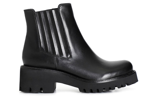 gid://shopify/Product/16175505899852_59119478669644