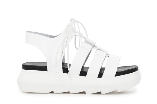 gid://shopify/Product/15782679183692_1