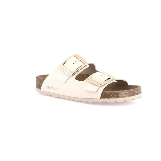 gid://shopify/Product/15754232201548_57519256764748