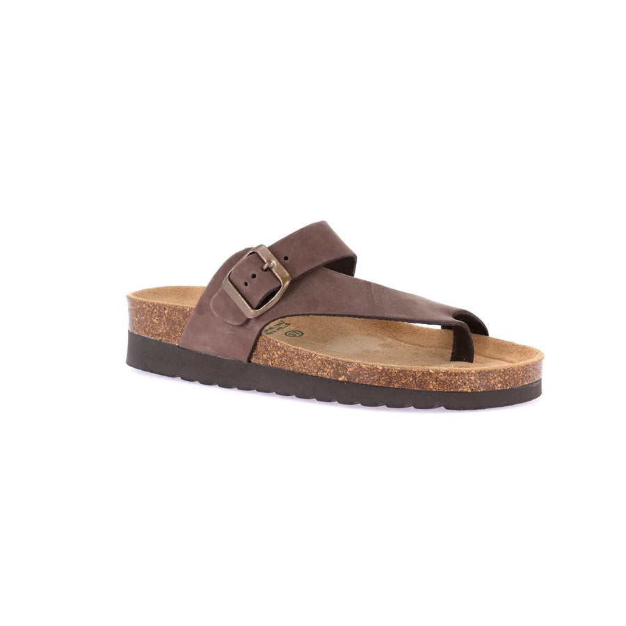 gid://shopify/Product/15752780906828_1