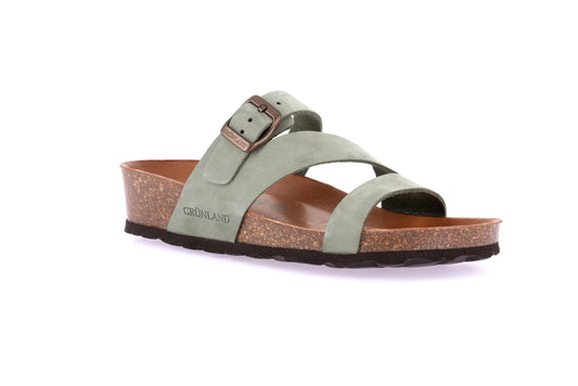 gid://shopify/Product/15712111264076_57395786187084