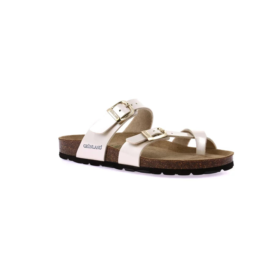 gid://shopify/Product/15712045269324_1