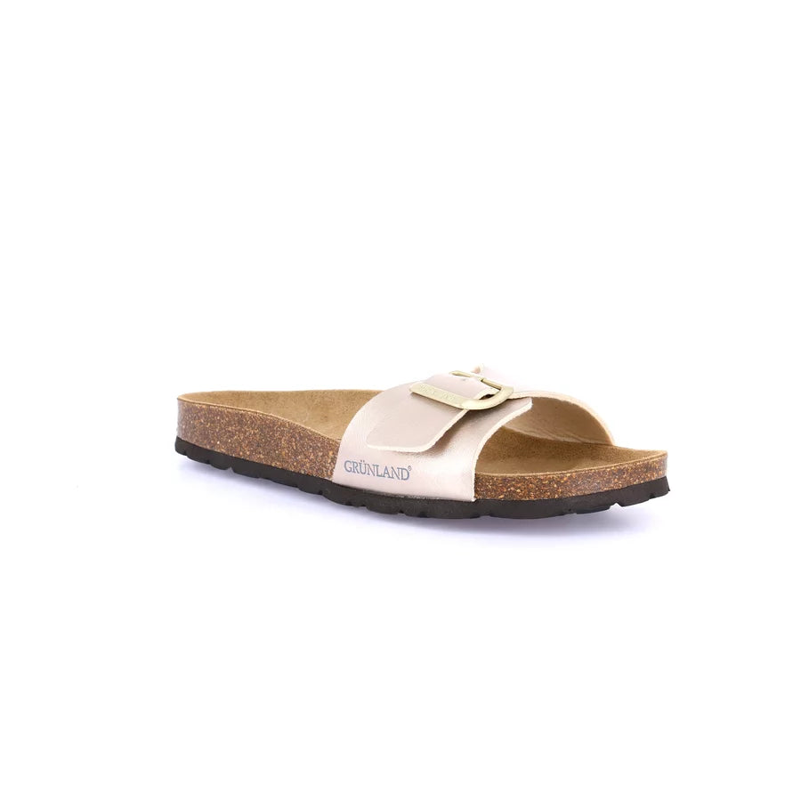 gid://shopify/Product/15754060202316_57518877278540