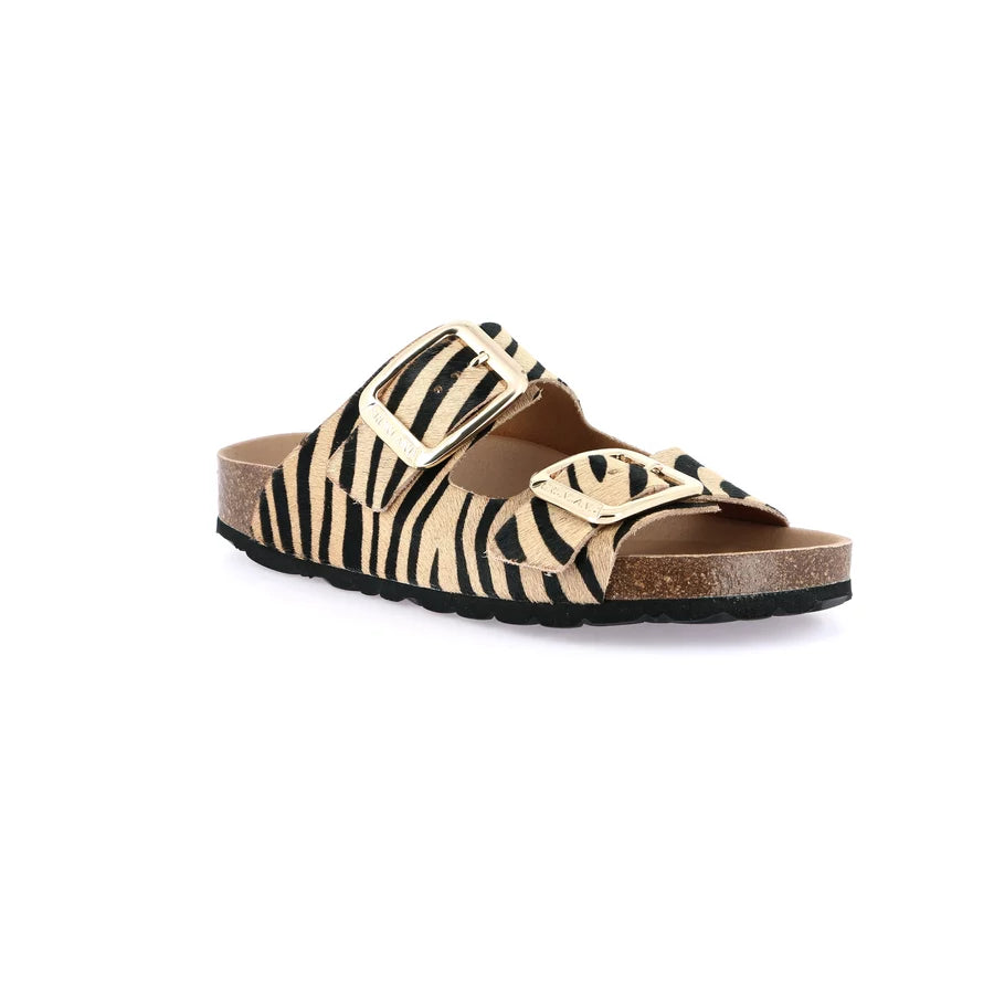 gid://shopify/Product/15754130456908_57519028437324