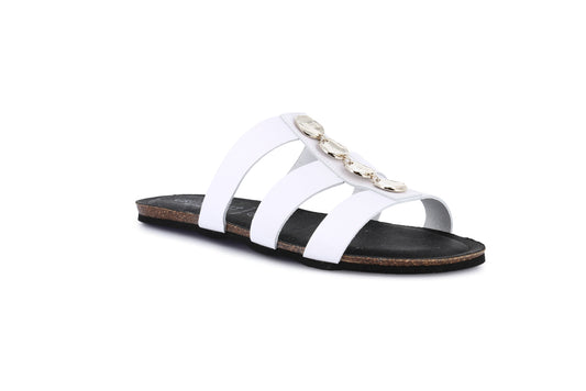 gid://shopify/Product/15712368951628_58818488762700