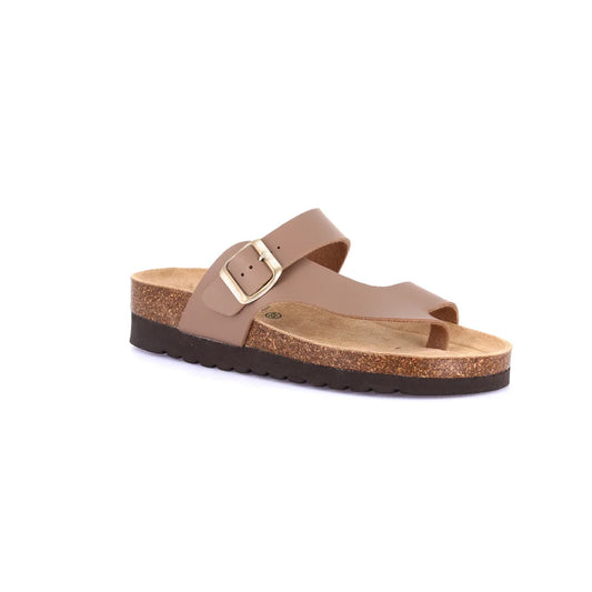 gid://shopify/Product/15711815991628_57337555452236