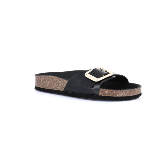 gid://shopify/Product/15753865658700_57518273429836