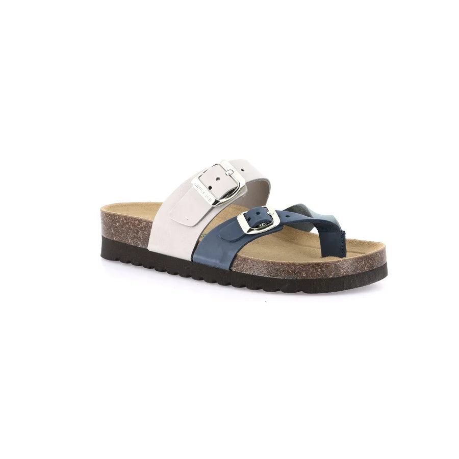 gid://shopify/Product/15712369574220_1