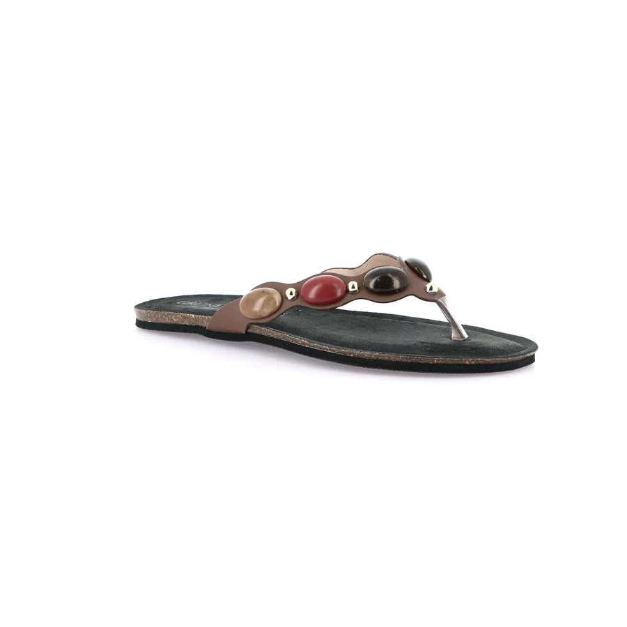 gid://shopify/Product/15712369672524_1