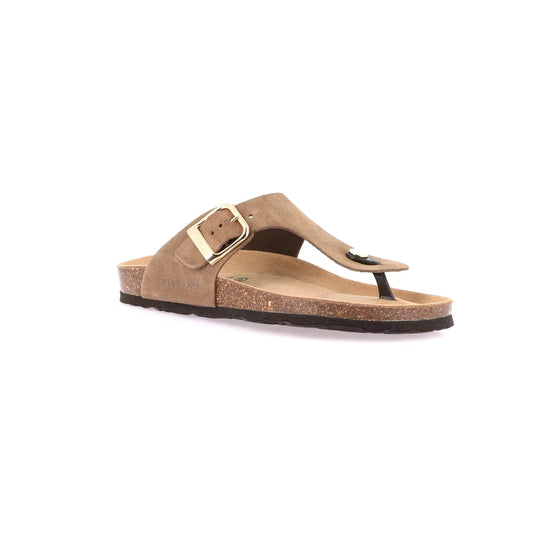 gid://shopify/Product/15752466989388_57513853026636