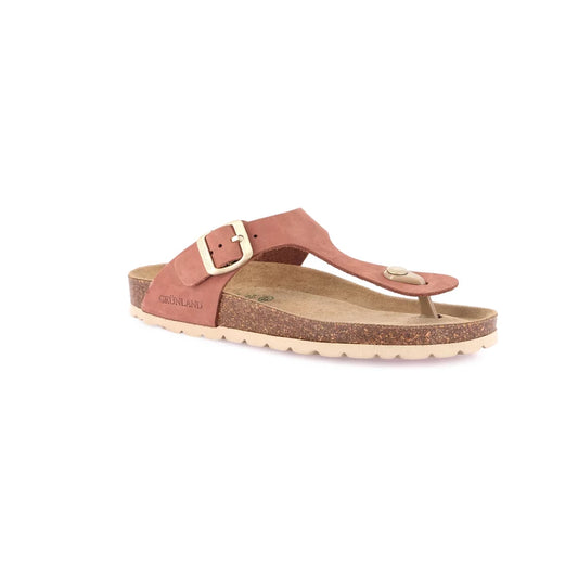 gid://shopify/Product/15754386571596_57519561670988
