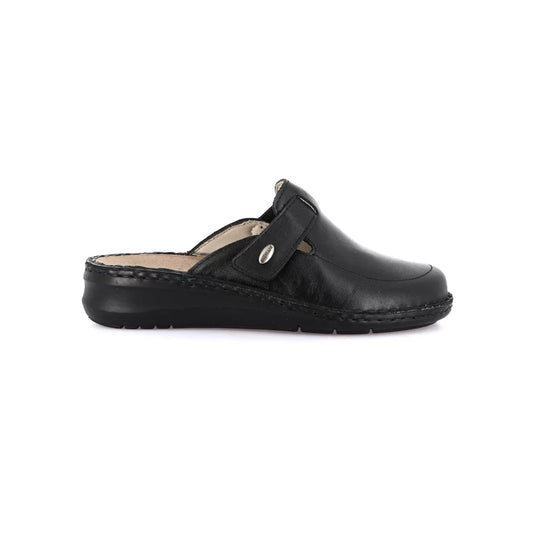 gid://shopify/Product/15711625904460_57336425054540