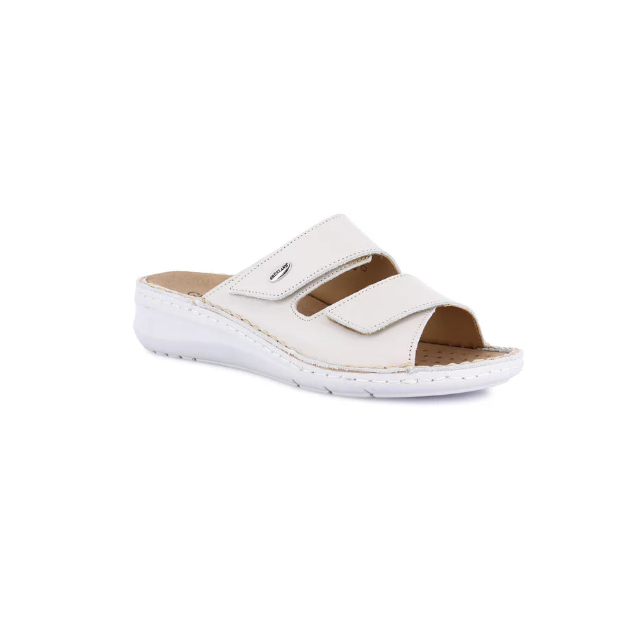 gid://shopify/Product/15712047989068_1