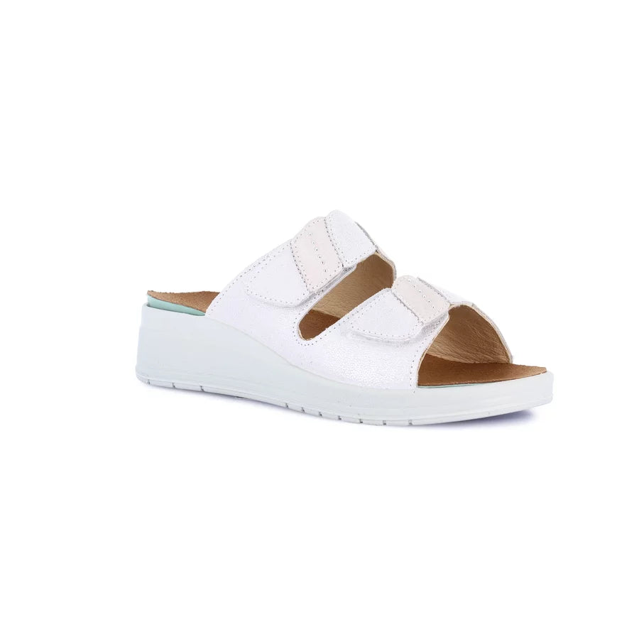 gid://shopify/Product/15754196451660_57519163965772