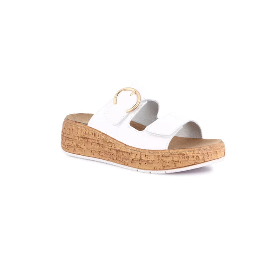 gid://shopify/Product/15712119390540_1