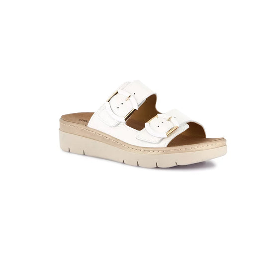 gid://shopify/Product/15712372064588_1