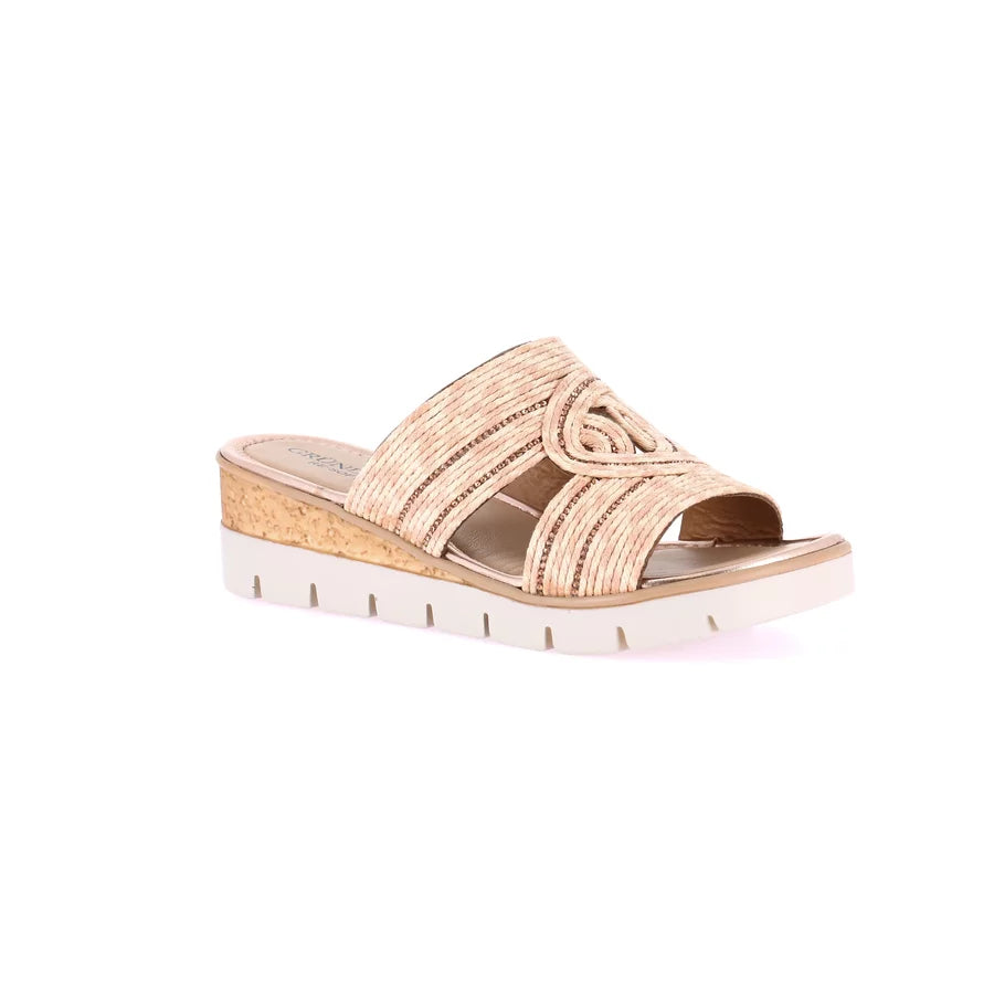 gid://shopify/Product/15754116464972_57519001370956