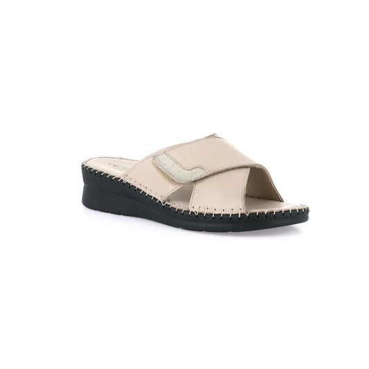 gid://shopify/Product/15712424427852_57340223619404
