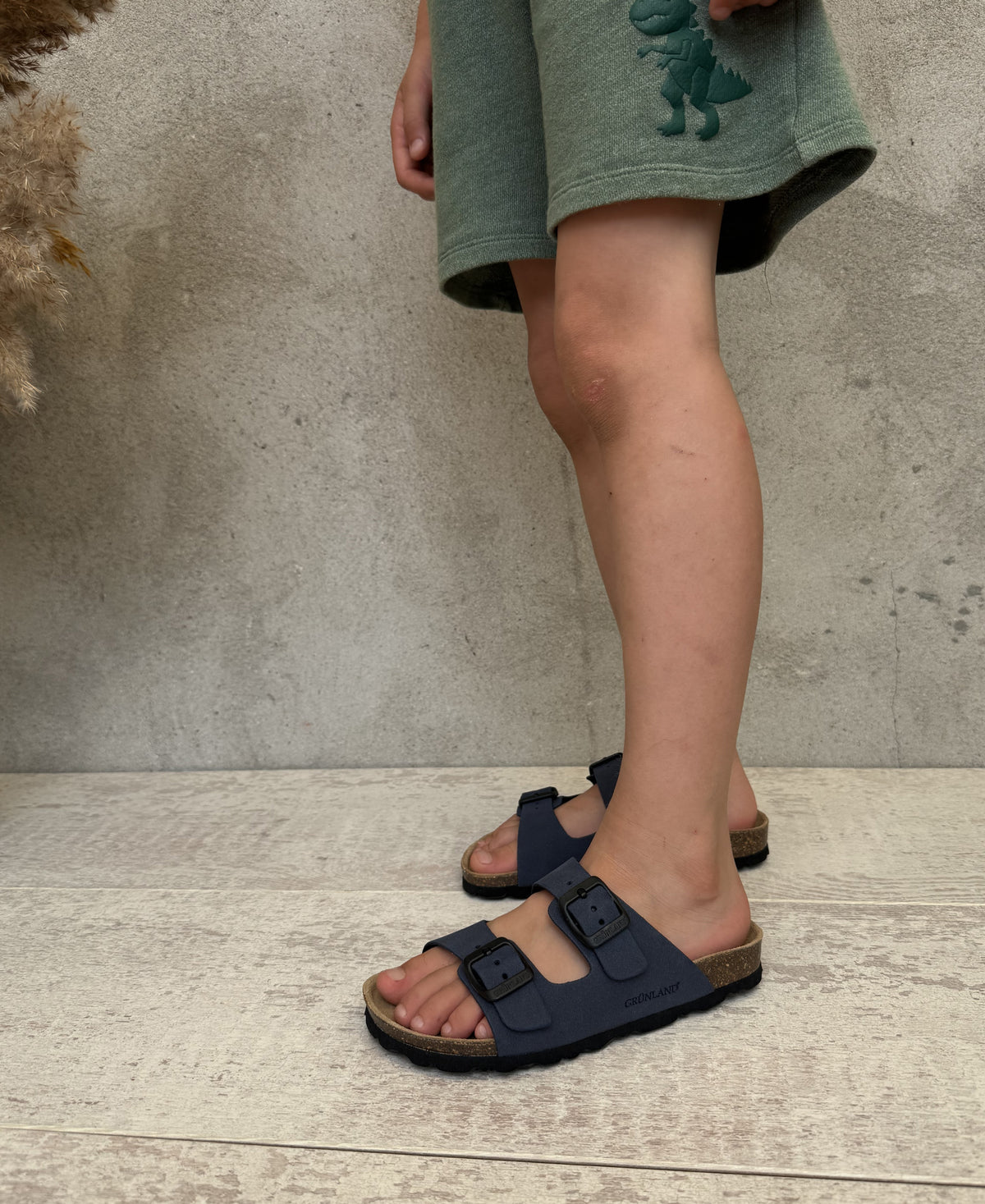gid://shopify/Product/15737653526860_2