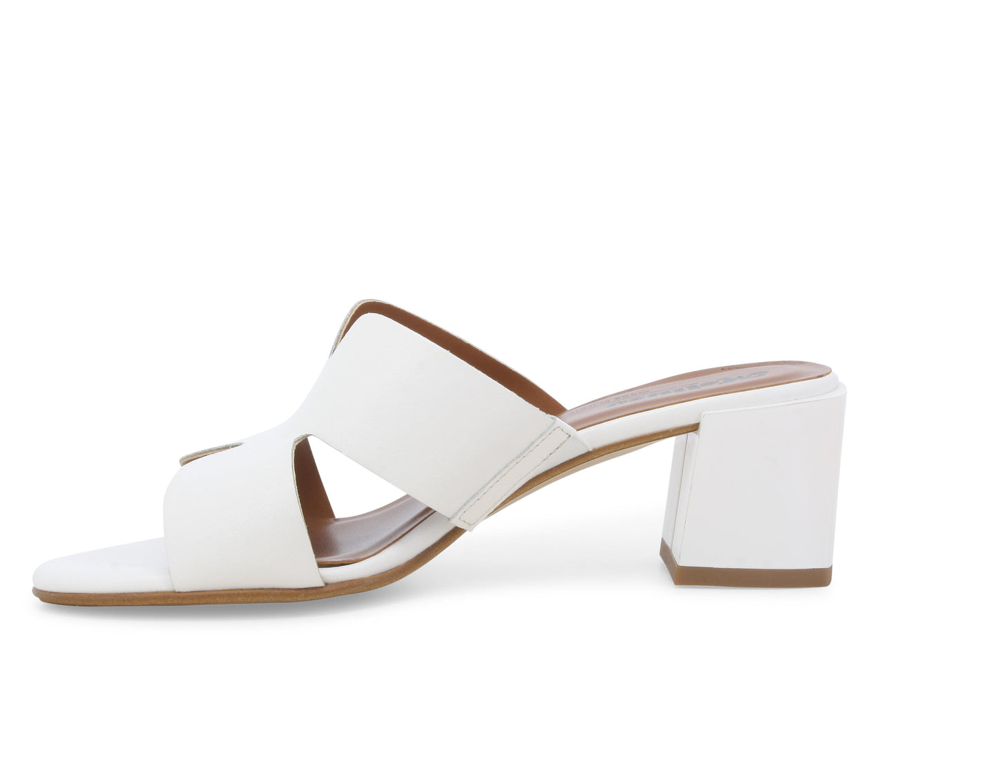 gid://shopify/Product/15686317965644_4
