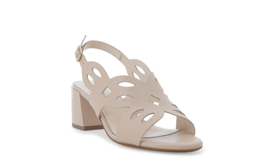 gid://shopify/Product/15761125081420_2