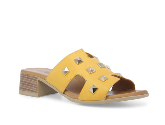 gid://shopify/Product/15761210704204_2