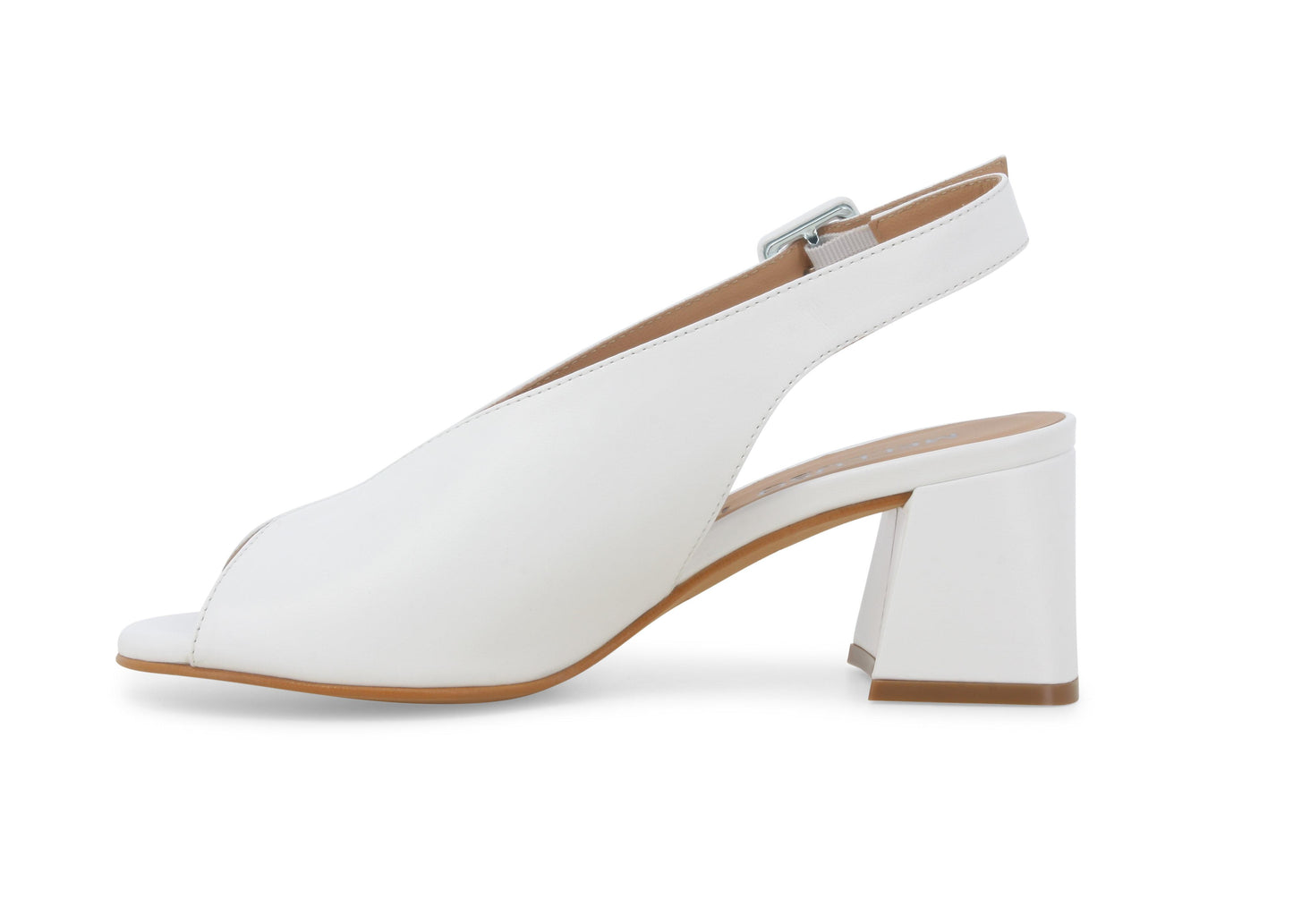 gid://shopify/Product/15685768610124_4