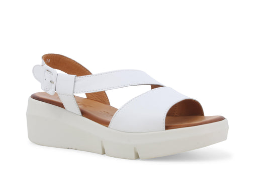 gid://shopify/Product/15761173283148_2
