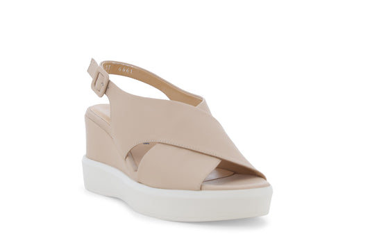 gid://shopify/Product/15761182228812_2
