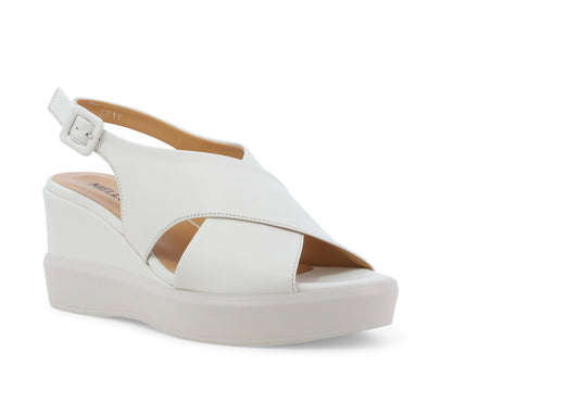 gid://shopify/Product/15761183211852_2