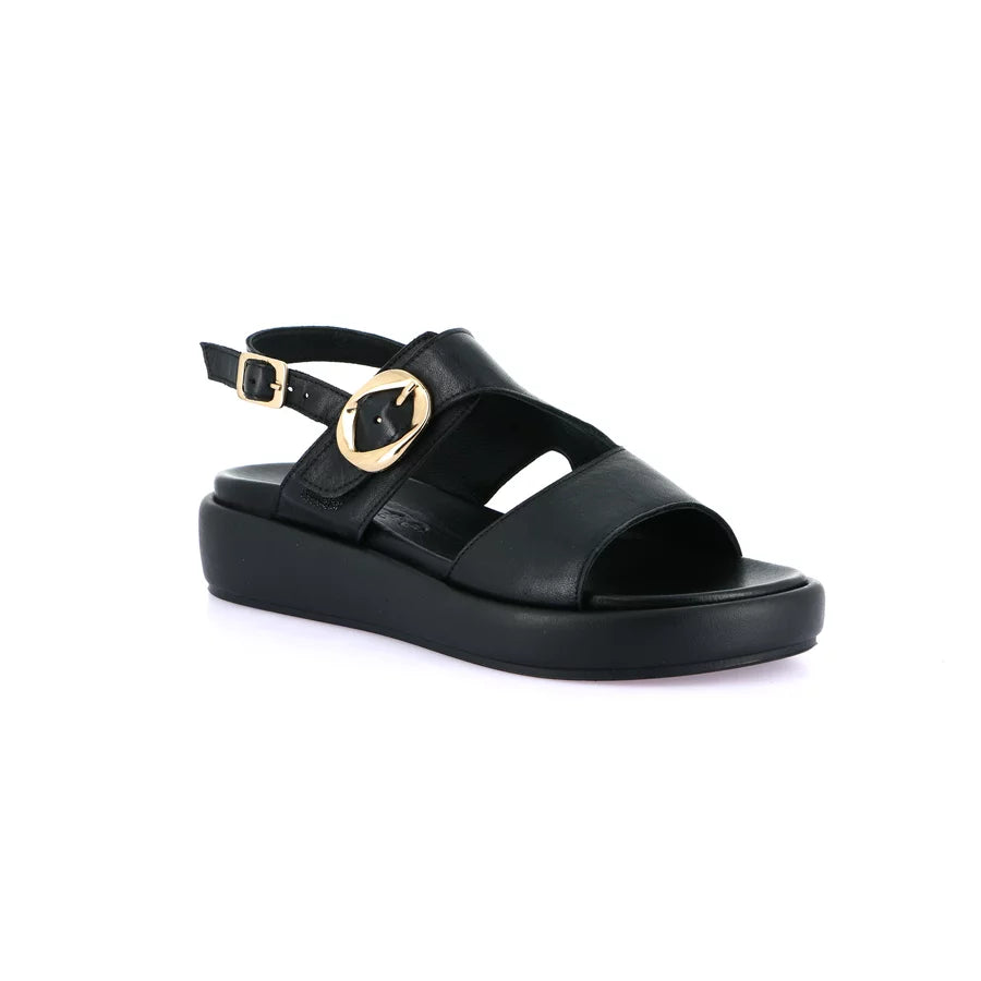 gid://shopify/Product/15712048578892_1