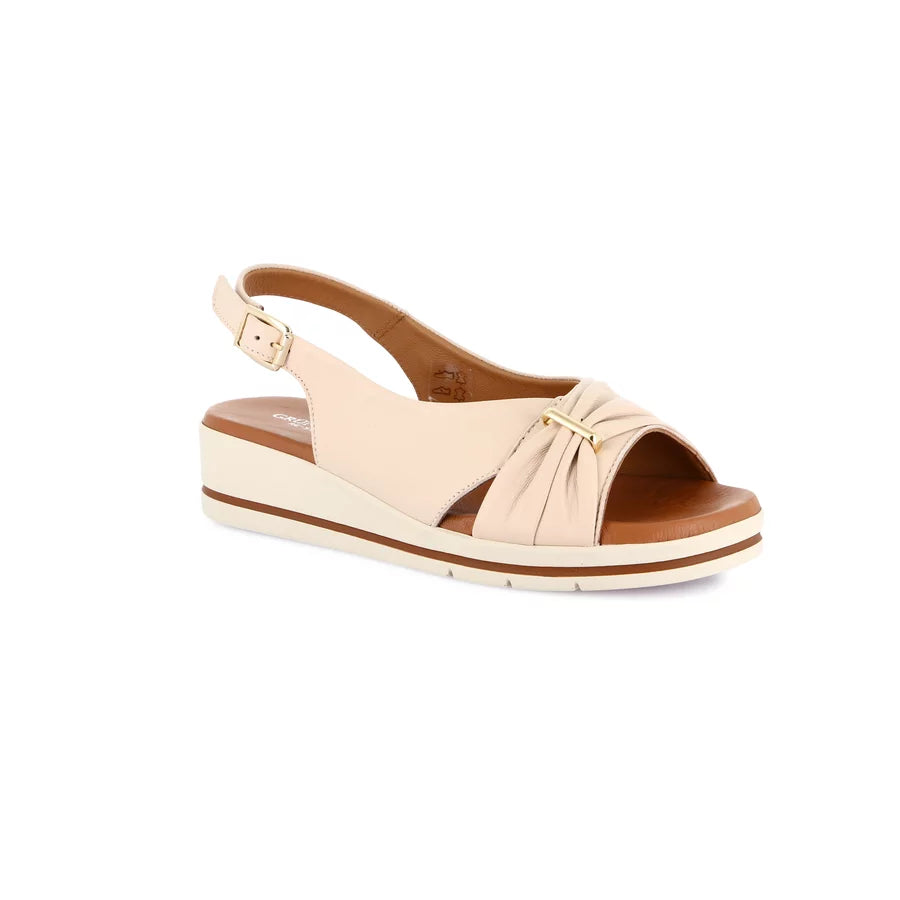 gid://shopify/Product/15712075055436_1