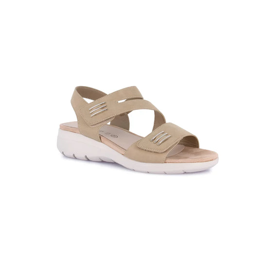 gid://shopify/Product/15712664387916_57341050192204